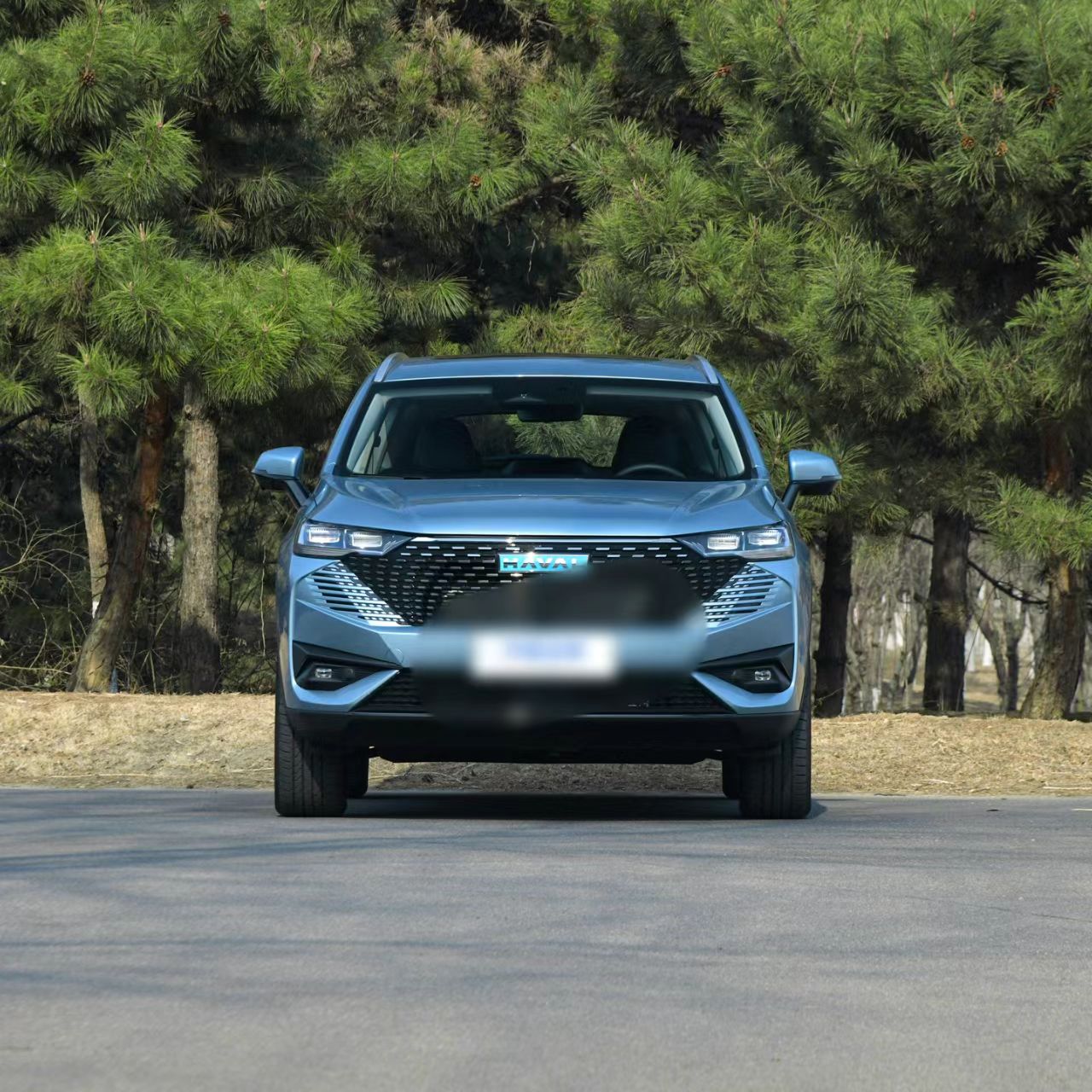 -Made Changcheng Haval H6 Energy 2023 DHT-PHEV 110km Compact SUV 5 Doors 5 Seats Good