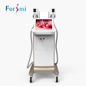 China Manufacturer Hot Sale Cryolipolysis Freezing Fat Removal Equipment with 2 Handles 2 air pump with manufacture price factory