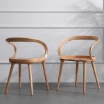 OEM Service Accepted Modern Dining Room Chair with Round Shape Arm Wing and