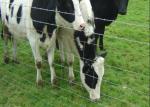 Galvanized Livestock Prevent Hinge Joint Page Wire Farm Field Fence
