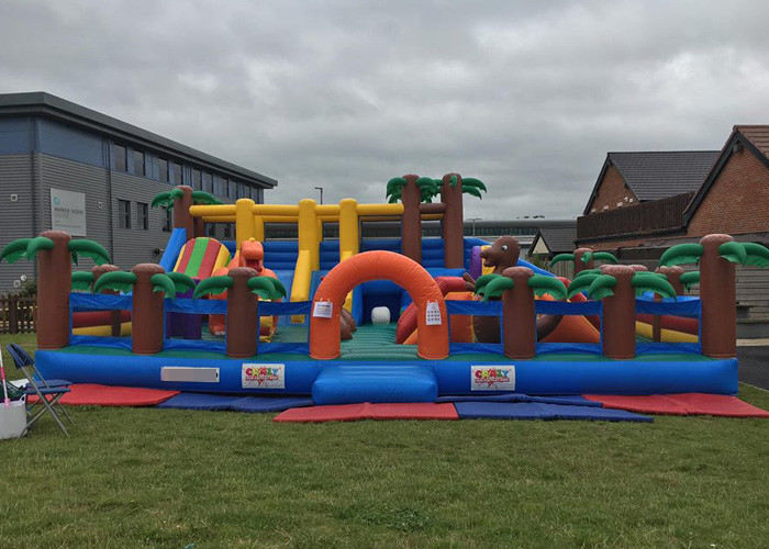 CE Outdoor Inflatable Bouncy Castle With Slide , Commercial Adult Bouncy Castle