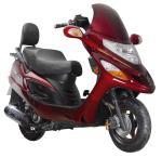EEC DOT EPA Postdoctoral50cc Gas 2-stroke 4-stroke singlecylinder air-cooled