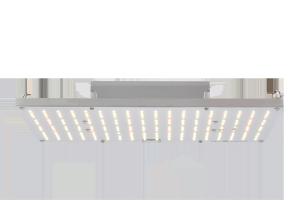 China 4000K 660nm Led Quantum Board Grow Lights factory