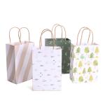 Recycled Twist Handle Full Color 150GSM Printed Kraft Paper Bags