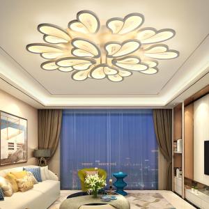 China Standard Acrylic ceiling light fixture for Living room Bedroom Lighting Fixtures (WH-MA-51) factory