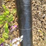Black Grass Barrier Landscape Ground Fabric Ground Cover Mesh Weed Mat Anti