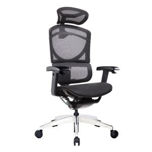 China BAS System Ergonomic Office Chair Dynamic Swivel 3D Support Seating factory