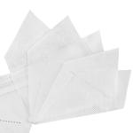Anti Dust 5 Ply FFP2 Face Mask With Elastic Earband