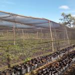 Agro/Agricultural/Greenhouse/Horticulture/Vegetable/Garden/Raschel/Shading/Anti