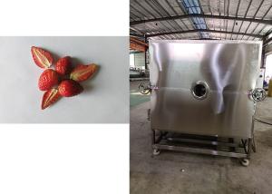 China Leybold Refrigeration System Food Vacuum Freeze Dryer Machine Reliable factory