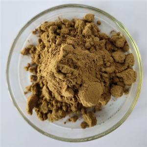 China Pharmaceutical grade phyllanthus amarus extract with best price factory