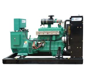 China 50/60Hz Open Type Methane Generator Biogas Generator 80kw factory