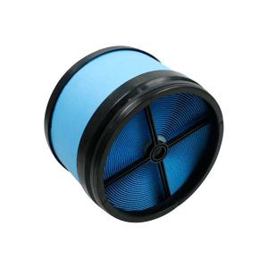 China Black PP Blue Fibre Hepa Car Truck Air Filter For OEM P618239 214059 70320440 factory