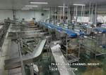 Multifunction Weight Sorter Machine