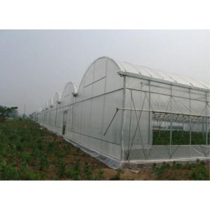 Bird Control Net, Pest Netting Fabrics, Crop Saver Insect Net, Direct Factory