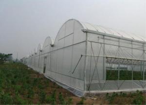 China Greenhouses And Tunnels Insect Mesh Netting Plain Weave 0.3mm Wire Diameter factory