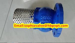 China DN80 GGG50 PN16 cast iron flanged foot valve factory