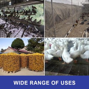 CE/ISO9001 Certified PP Biaxial Geogrid for Corrosion-Resistant Civil Engineerin