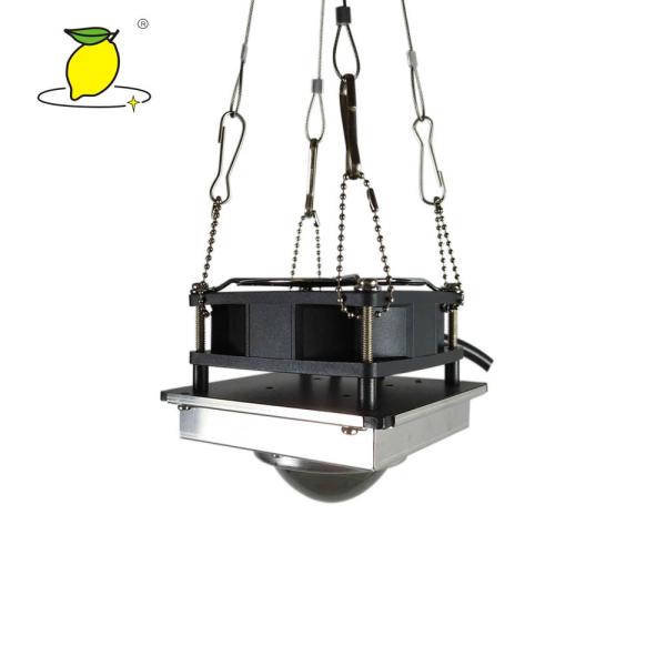 Led Full Spectrum Grow Lamp indoor Phyto Light Growth Floodlight For Plant