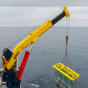 China 10 Ton Pedestal Marine Hydraulic Crane with 12m~35m Span factory