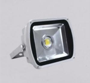 China 60W led outdoor lights IP65 supplier factory