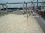 Stainless Steel Gelatin Equipment For Leather Washing Plant Customized