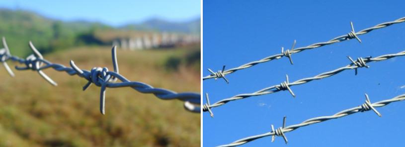Agricultural Galvanised Barbed Wire Double Twist Q235 16 Gauge