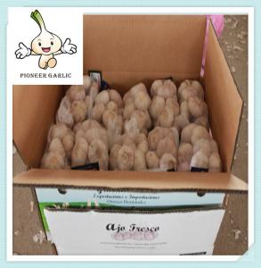 China 2016 new crop with good quality for sale China New Fresh White Garlic- Variety factory