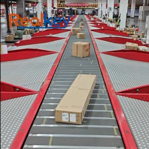 Effective Package Sorting Machine Modular For Fragile Items Customized Solutions