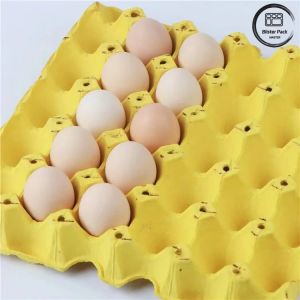 30 Hole Biodegradable Recycled Paper Egg Tray , Customizable Reusable Egg