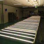 Waterproof 660nm AC100V 600 Watt LED Grow Lights