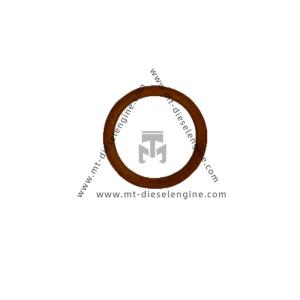 China Sealing ring 01118737 1118737 0111 8737 For DEUTZ TD3.6 Engine factory