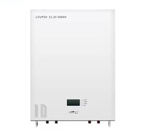 100AH 200AH 51.2V Lifepo4 Wall-Mounted Lithium Ion Battery Home Solar Power
