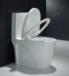 12 Inch Rough In Round Siphonic Dual Flush Toilet Bowls S Trap Water Closet