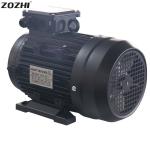 Energy-saving Hollow Shaft Single Phase Motor For Pressure Washer