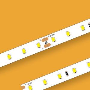 China ERP LED Strip DC24V SMD2835 10mm LED Strip 6500K 80LEDs/M Indoors factory