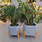 Charcoal Oven Fiber Clay Planter Keep 5-6 Years Outdoor for Camping Burners