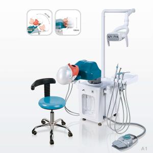 China CE Dentistry Phantom Head Dental Simulator Multipurpose Storable factory