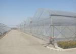 Thermal Insulation Single Span Tunnel Plastic Film Greenhouse
