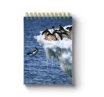 Free Sample A5 Size 3d Lenticular Notebook Cover 0.6mm Thickness
