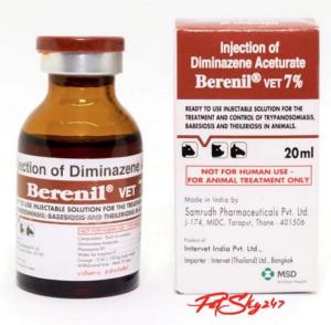 China Diminazene Aceturate Injection Labels And Boxes factory
