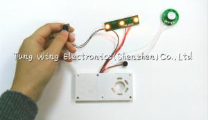 China Twinkling Lights Flashing Toy Sound Module , Flashing recordable voice chip factory