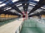 Prefab Steel Structure Warehouse , Metal Dairy Barn Building
