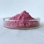 Hot Sale Poland Aronia Berry Powder / Aronia Powder