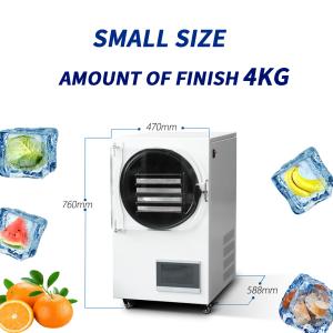China Vegetable Fruit Processing Machine Lyophilization Vacuum Freeze Dryer factory
