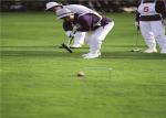 Recyclable Hockey Fake Green Grass Carpet Real Looking 14mm Pile Height