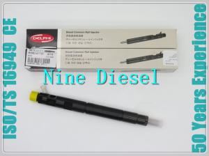 China Great Wall Hover Delphi Diesel Fuel Injectors 28231014 1100100-ED01 factory