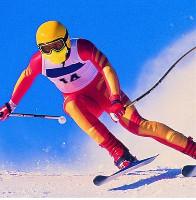 China Plastics and Packaging - Sports Equipment Printing Mesh factory