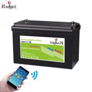 China LFP Cell 12V LiFePO4 Battery Outdoor Monitoring Emergency Alert System factory