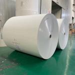 Greaseproof PE Coated Paper Roll Use For Juice Beverages 260-320gsm